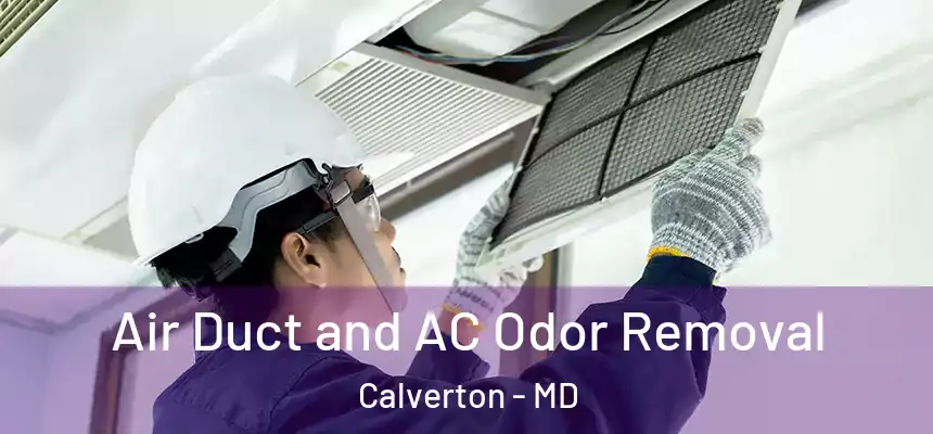  Air Duct and AC Odor Removal Calverton - MD