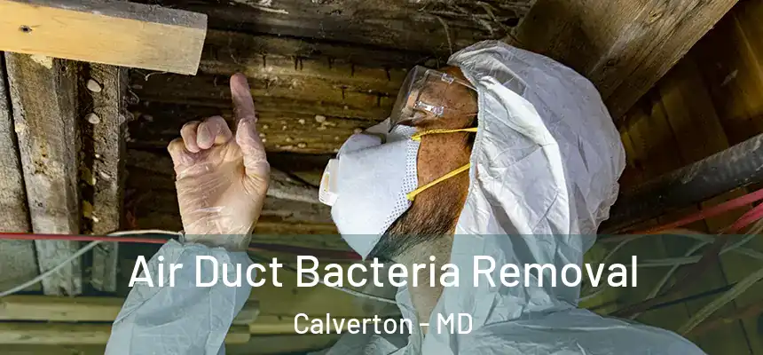  Air Duct Bacteria Removal Calverton - MD