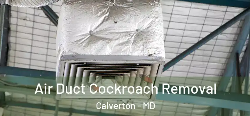  Air Duct Cockroach Removal Calverton - MD