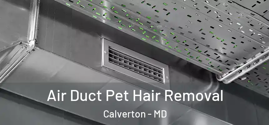  Air Duct Pet Hair Removal Calverton - MD