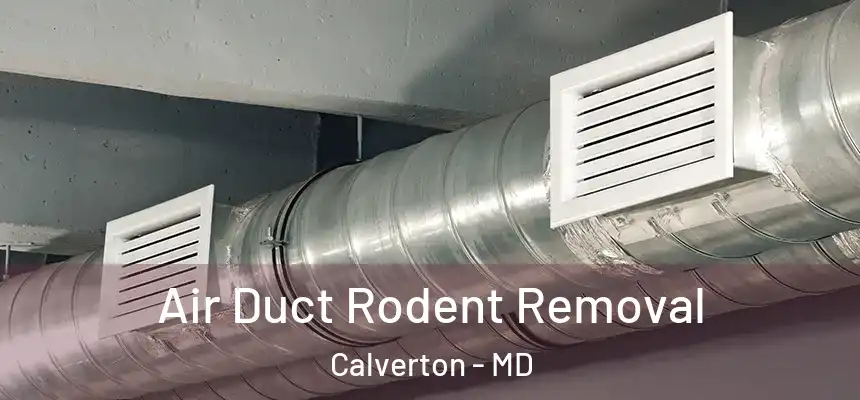  Air Duct Rodent Removal Calverton - MD