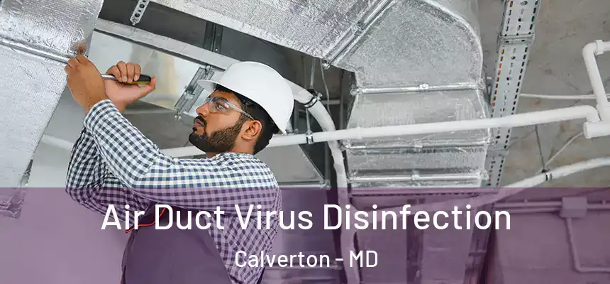  Air Duct Virus Disinfection Calverton - MD