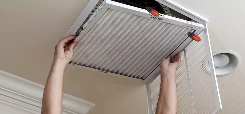 Our Insect Removal from Air Ducts Services in Calverton, MD