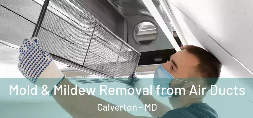  Mold & Mildew Removal from Air Ducts Calverton - MD