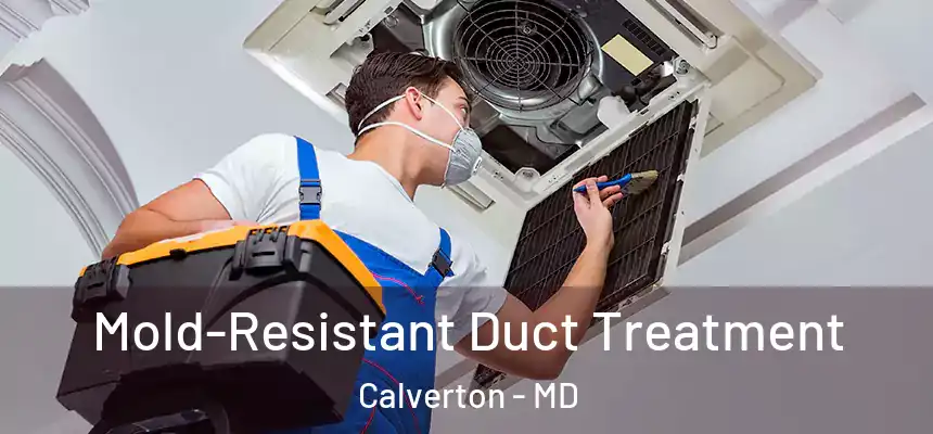  Mold-Resistant Duct Treatment Calverton - MD