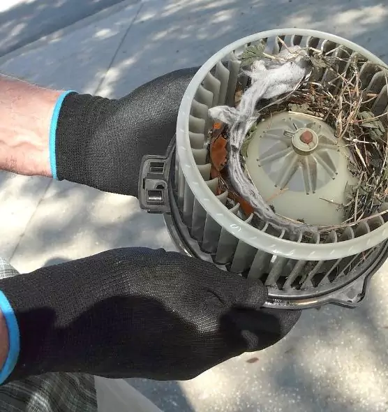 About Air Duct Rat Removal in Calverton, MD