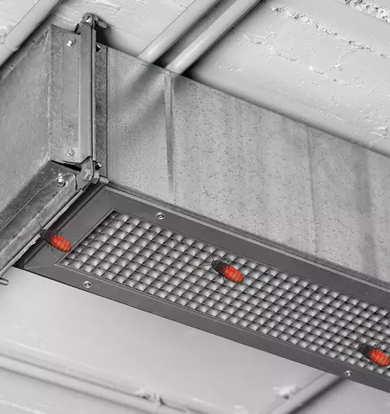 Affordable Insect Removal from Air Ducts in Calverton, MD