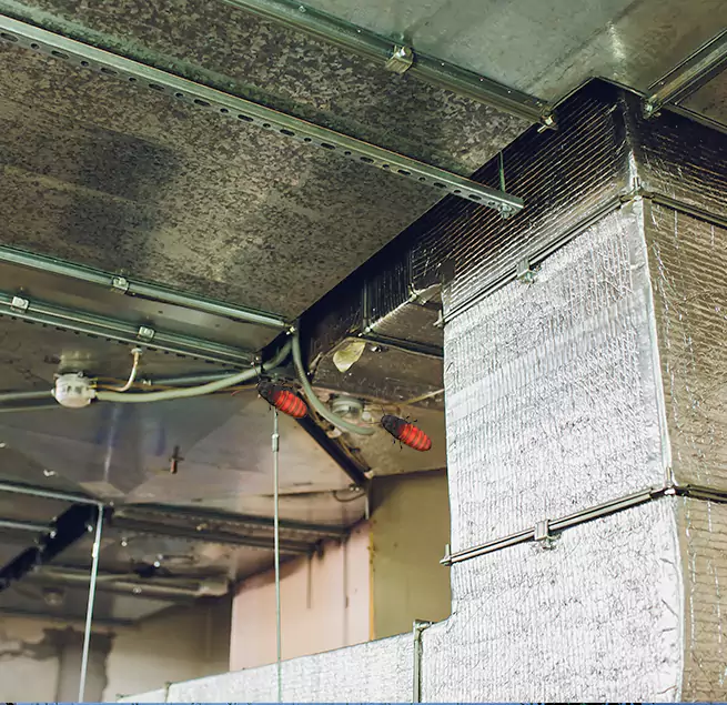 Why Homeowners & Businesses Trust Us Calverton, MD?