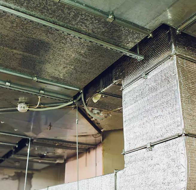 Why Homeowners & Businesses Trust Us in Calverton, MD?